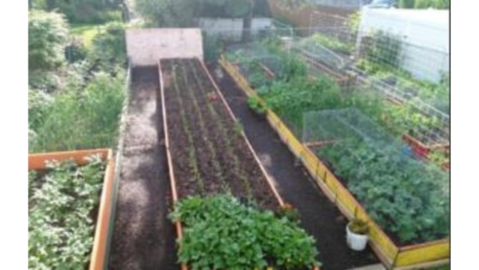 garden(1) New Bill Would Protect Right To Garden In Illinois –