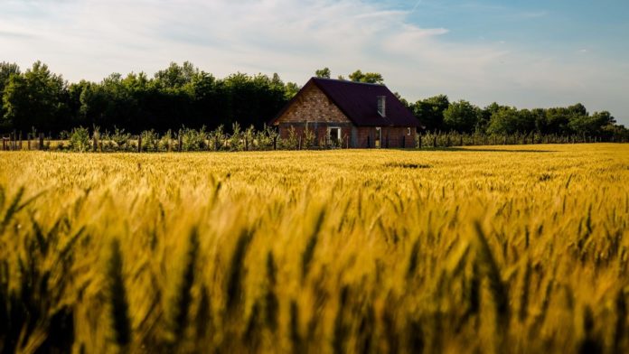 Conservationists See Rare Nature Sanctuaries. Black Farmers See a Legacy Bought Out From Under Them