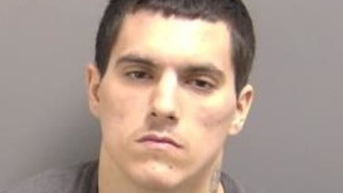 Purse Thief on Federal Probation / Supervised Release Apprehended