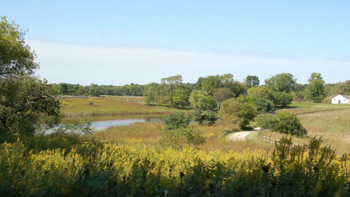 horizon-farm-sep14-1050x600 Forest Preserves of Cook County Fully Opens Northwest Cook County’s Horizon Farm Preserve