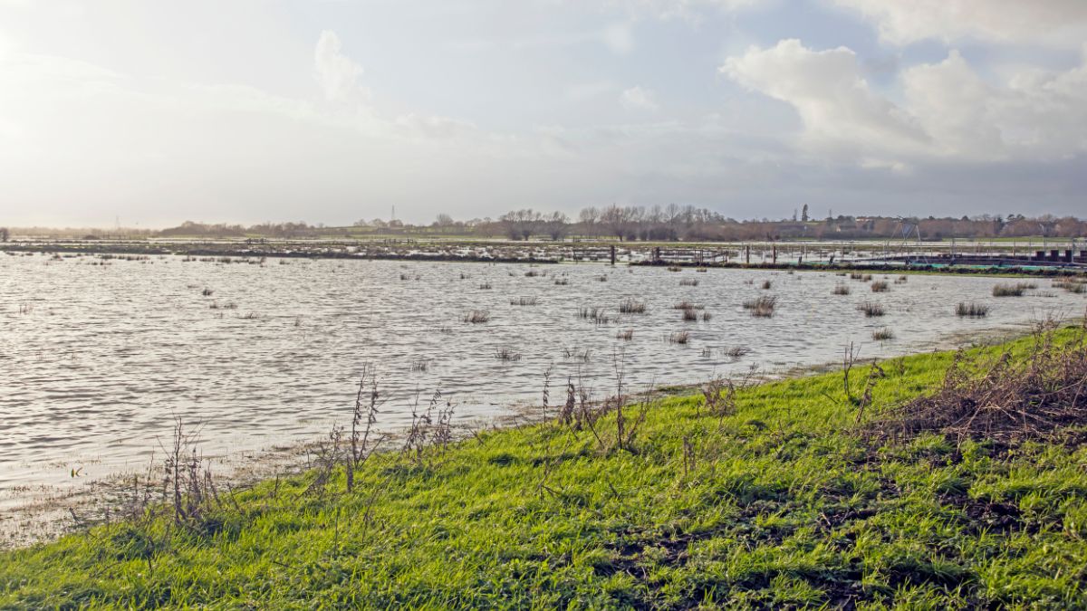 Young Illinois Farmers Set Up Fund for Unexpected Crises