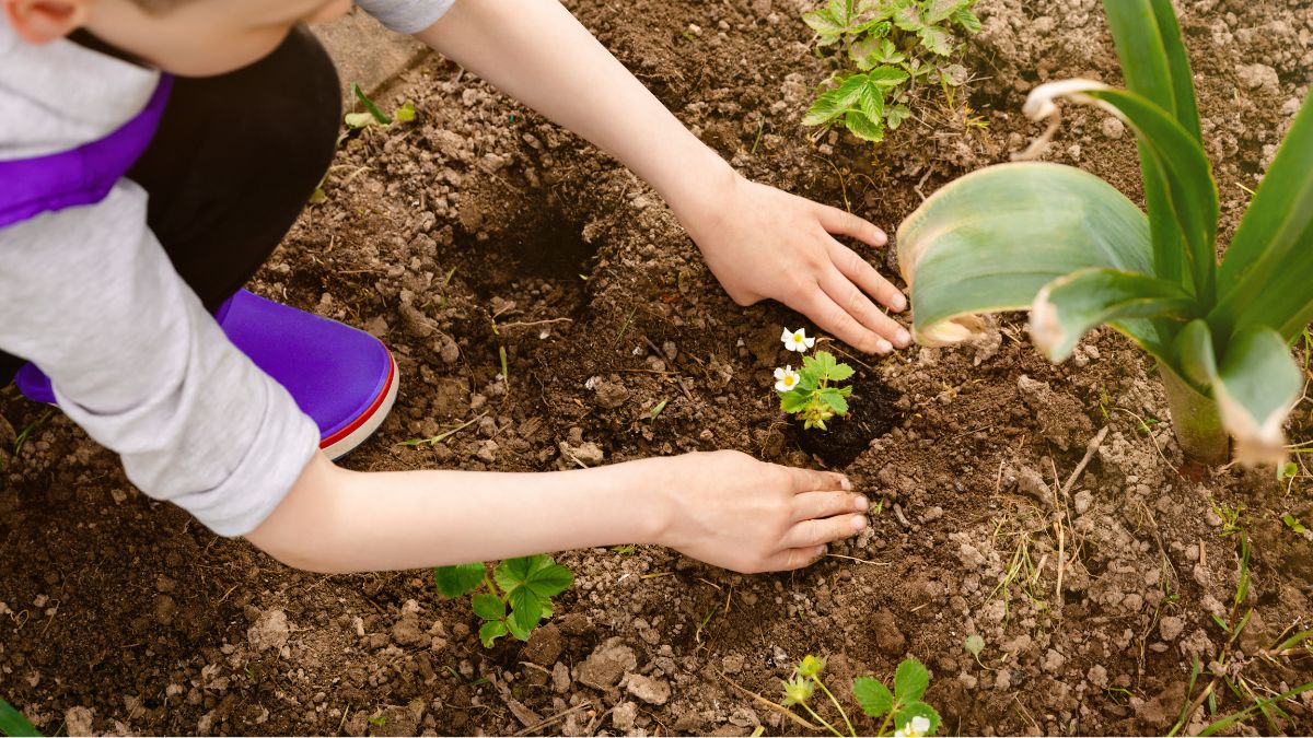 Governor Signs Bill to Back State’s No. 1 Industry with Support for Future Farmers