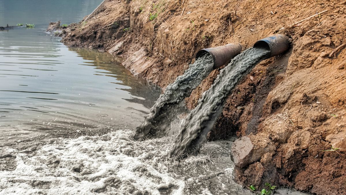 Illinois EPA Offers Two Funding Opportunities for Watershed Management Projects to Address Nonpoint Source Pollution