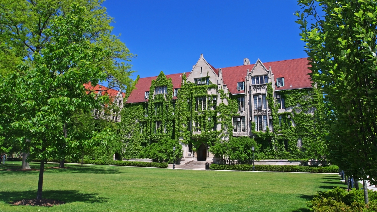 Protesters disrupted classes, vandalized property at U of C