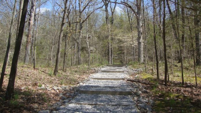 Illinois Conservation Foundation unveils 2024 state park ornament