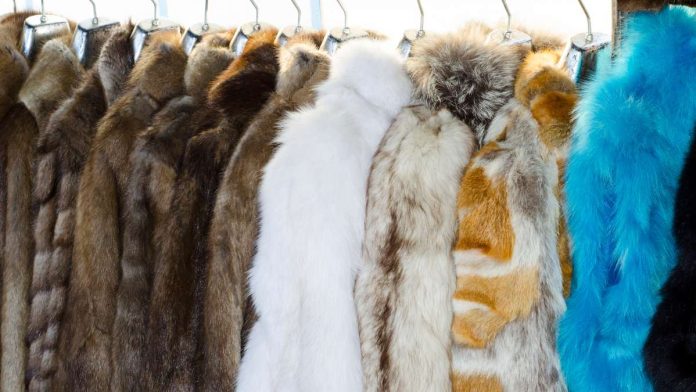 Fur Ban An Attack on Heritage, Business, and Choice: Why Chicago's Fur Ban Must Be Opposed