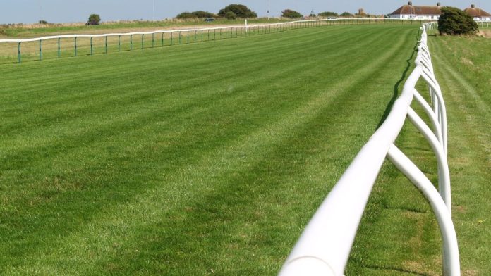 Joyce Working to Save the Illinois Harness Racing Industry
