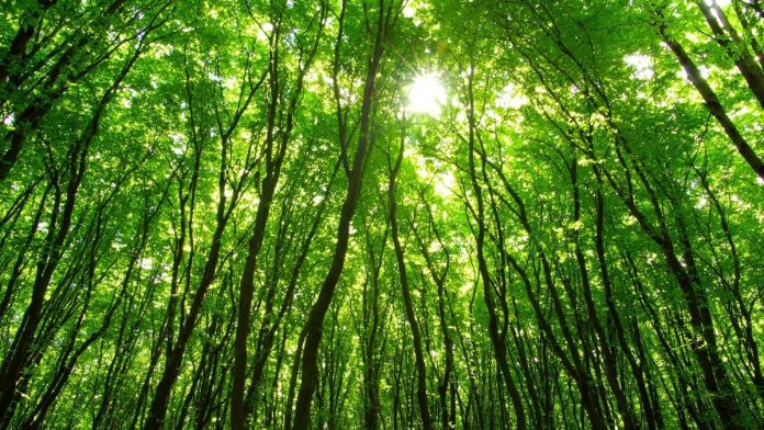 Illinois Environmental Protection Agency and Illinois Finance Authority Successfully Complete Sale of Series 2025 Green Bonds