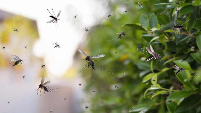 IDPH: West Nile Virus Specimens Confirmed in 17 Illinois Counties As Mosquito Control Awareness Week Marks Start of Summer 2025