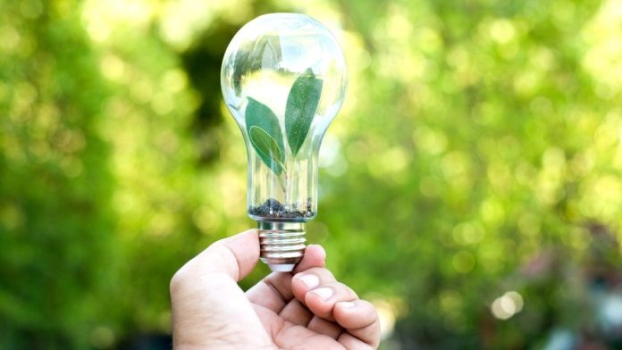 Chicago Board of Education Approves Resolution Launching Healthy Green Schools Pilot Program