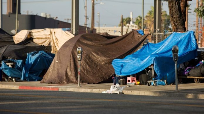 Housing funding cut in Illinois budget as homelessness increases