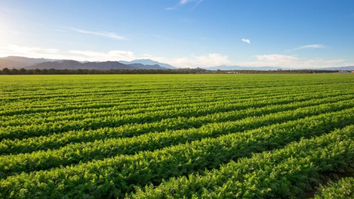 Trump eases estate tax burden for farms while Illinois’ remains unchanged