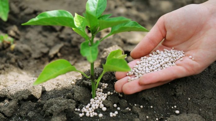 Cronus Chemicals to Build $2 Billion Fertilizer Plant in Tuscola, Creating 130 Jobs