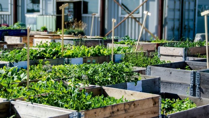 Cook County Jail Launches Composting Pilot to Support Urban Farming