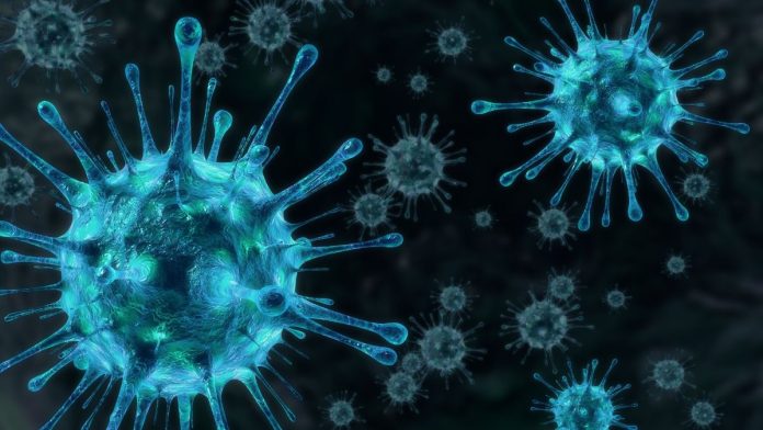 First West Nile Virus Death of the Year Reported in Suburban Cook County