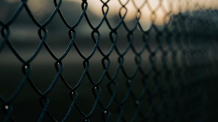 Forest Park Mayor, Congressional Candidate Condemns Federal Response at Broadview ICE Facility