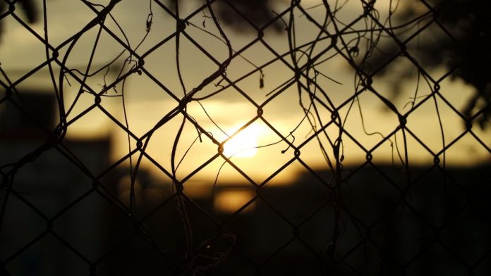 Border Patrol Commander Greg Bovino ordered to testify in federal court