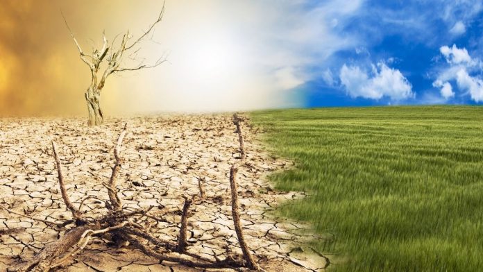 IDPH to Host Summit on Climate Change and Public Health at UIC