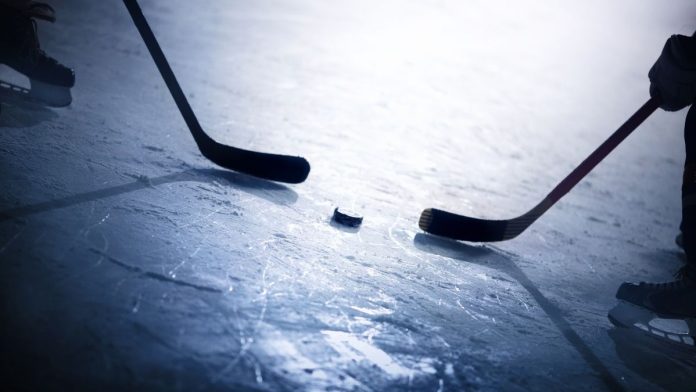 Cook County Clerk Partners With Chicago Wolves to Offer Free Game Tickets to Veterans