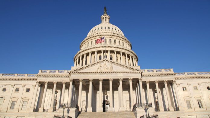 Congressional Candidate Donna Miller Criticizes Trump Over Venezuela, Calls on Congress to Act