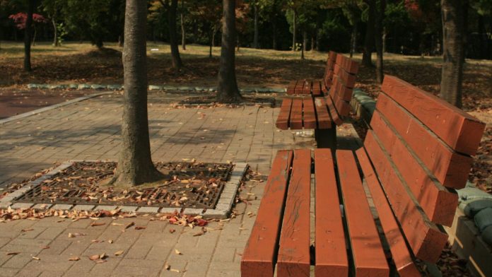 $600,000 Grant to Fund Improvements at Oak Lawn Park