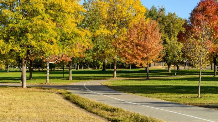 Illinois eyes smarter park funding: handicap accessibility gets priority