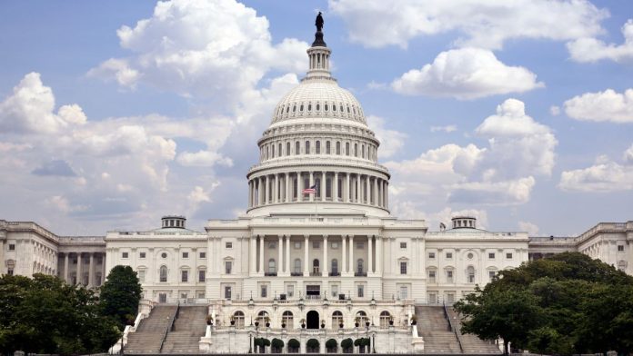 Donna Miller Criticizes Trump’s State of the Union, Urges Democrats to Retake Congress