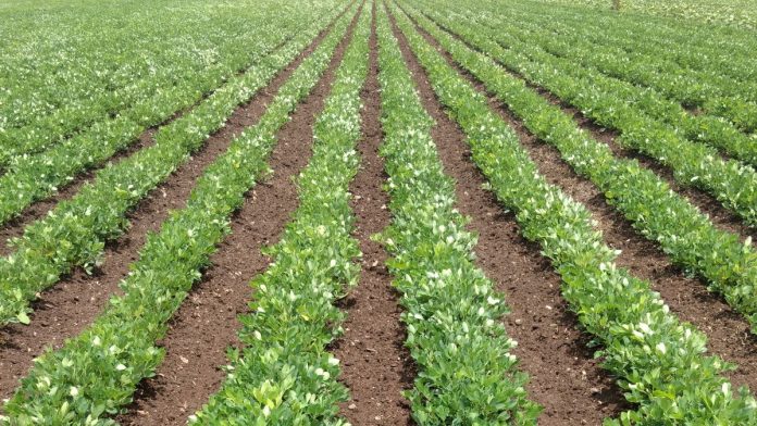 Illinois Stewardship Alliance Promotes Local Food Infrastructure Grant Applications, Urges Continued State Investment
