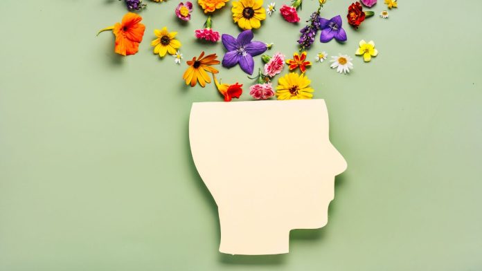 Joyce Measure to Expand Mental Health Counseling to Coroners Passes Senate