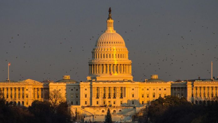 New Democrat Coalition Action Fund endorses Donna Miller for Congress