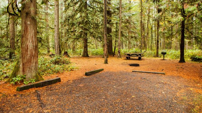 IDNR Upgrading Campsite Reservation System Ahead of Summer Season
