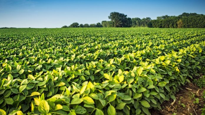 IDOA Announces More Than $796K in Specialty Crop Grant Funding Available
