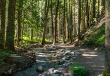 Illinois State Parks to Celebrate National Trails Day with Hikes Across the State Illinois State Parks to Celebrate National Trails Day with Hikes Across the State