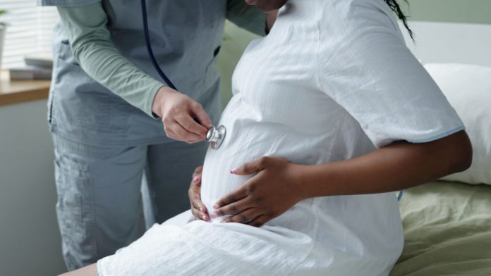 Democratic Party of Illinois Hosts Black Maternal Health Event in Belleville