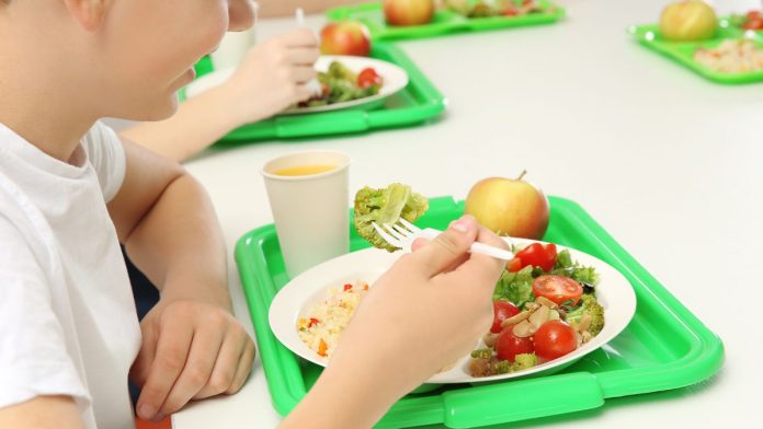 Illinois Democrats Blast Republicans Over SNAP Cuts, Warn of Impact on Free School Meals