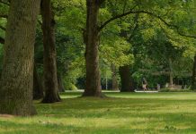 Sen. Patrick Joyce Encourages Local Governments to Apply for $37.5 Million in Illinois Park Grants Sen. Patrick Joyce Encourages Local Governments to Apply for $37.5 Million in Illinois Park Grants