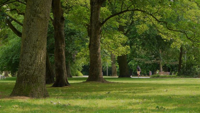 Sen. Patrick Joyce Encourages Local Governments to Apply for $37.5 Million in Illinois Park Grants