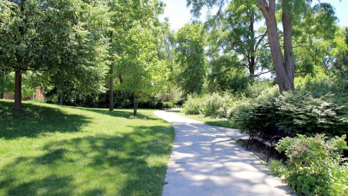 Blue Island Park District Invites Residents to Help Shape Future Through Community Feedback Session