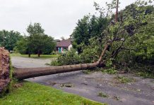 Joyce Announces Disaster Assistance for Cook and Will County Residents Hit by Summer Storms Joyce Announces Disaster Assistance for Cook and Will County Residents Hit by Summer Storms