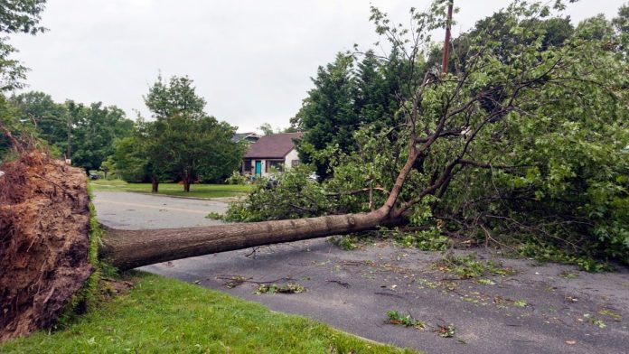 Joyce Announces Disaster Assistance for Cook and Will County Residents Hit by Summer Storms