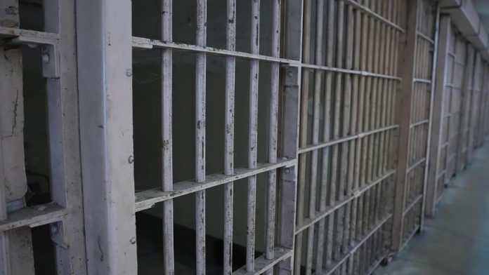 Deputy convicted of killing Sonya Massey dies in first year of sentence