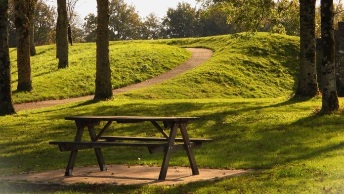 Blue Island Park District Seeks Community Input on Future of Parks and Recreation