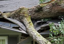 Cook County Clerk Gordon Calls for State Disaster Declaration After Southland Storms Cook County Clerk Gordon Calls for State Disaster Declaration After Southland Storms