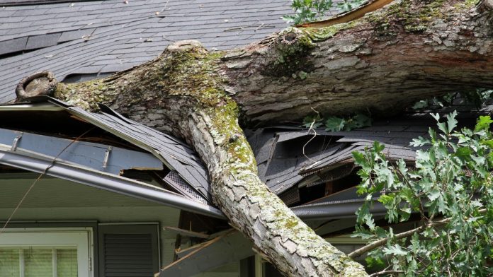 Cook County Clerk Gordon Calls for State Disaster Declaration After Southland Storms