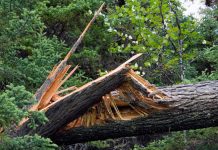 Greater Chicagoland Black Chamber of Commerce Urges Pritzker to Declare Disaster Emergency After Severe August 11 Storms Greater Chicagoland Black Chamber of Commerce Urges Pritzker to Declare Disaster Emergency After Severe August 11 Storms