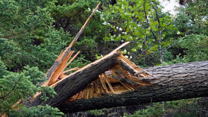 Greater Chicagoland Black Chamber of Commerce Urges Pritzker to Declare Disaster Emergency After Severe August 11 Storms
