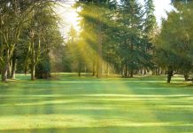 Blue Island Park District Seeks Community Input on Future of Parks and Recreation Blue Island Park District Seeks Community Input on Future of Parks and Recreation