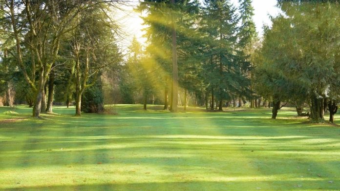 Blue Island Park District Seeks Community Input on Future of Parks and Recreation