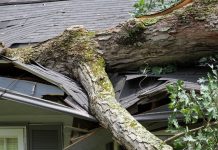 Lawmaker Proposes State Funds to Reimburse Local Governments for Summer Storm Cleanup Lawmaker Proposes State Funds to Reimburse Local Governments for Summer Storm Cleanup