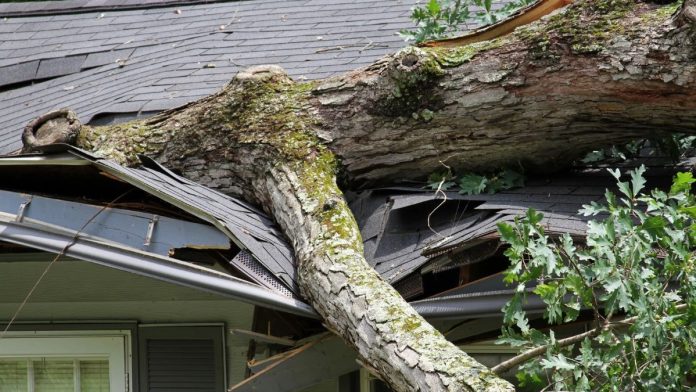 Lawmaker Proposes State Funds to Reimburse Local Governments for Summer Storm Cleanup